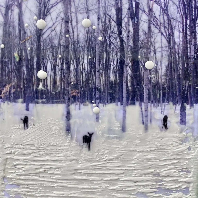 Ann Shier - Winter Forest 11