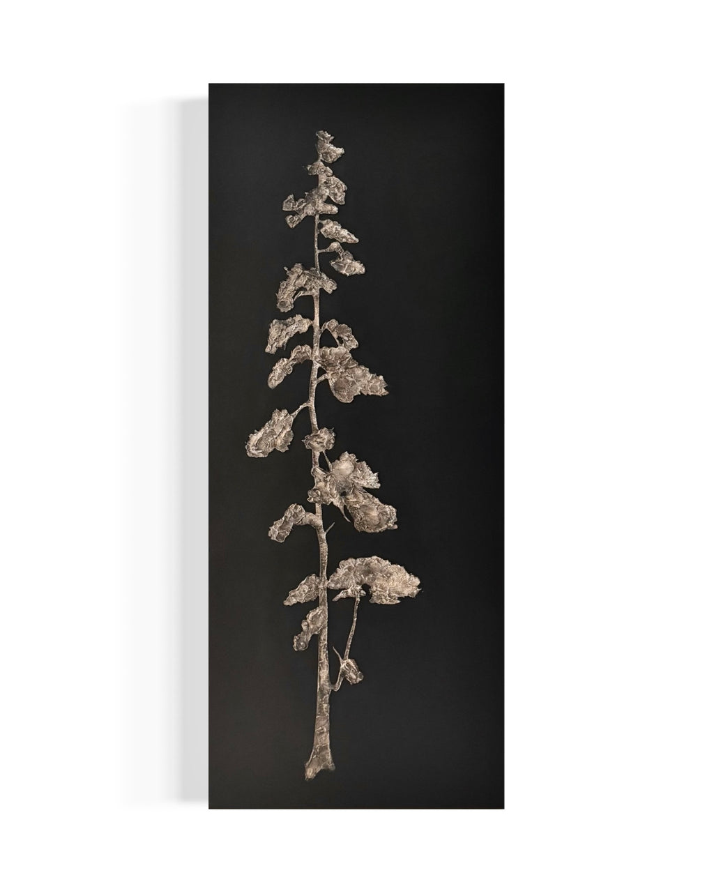 Candace Fristch - Still I Rise