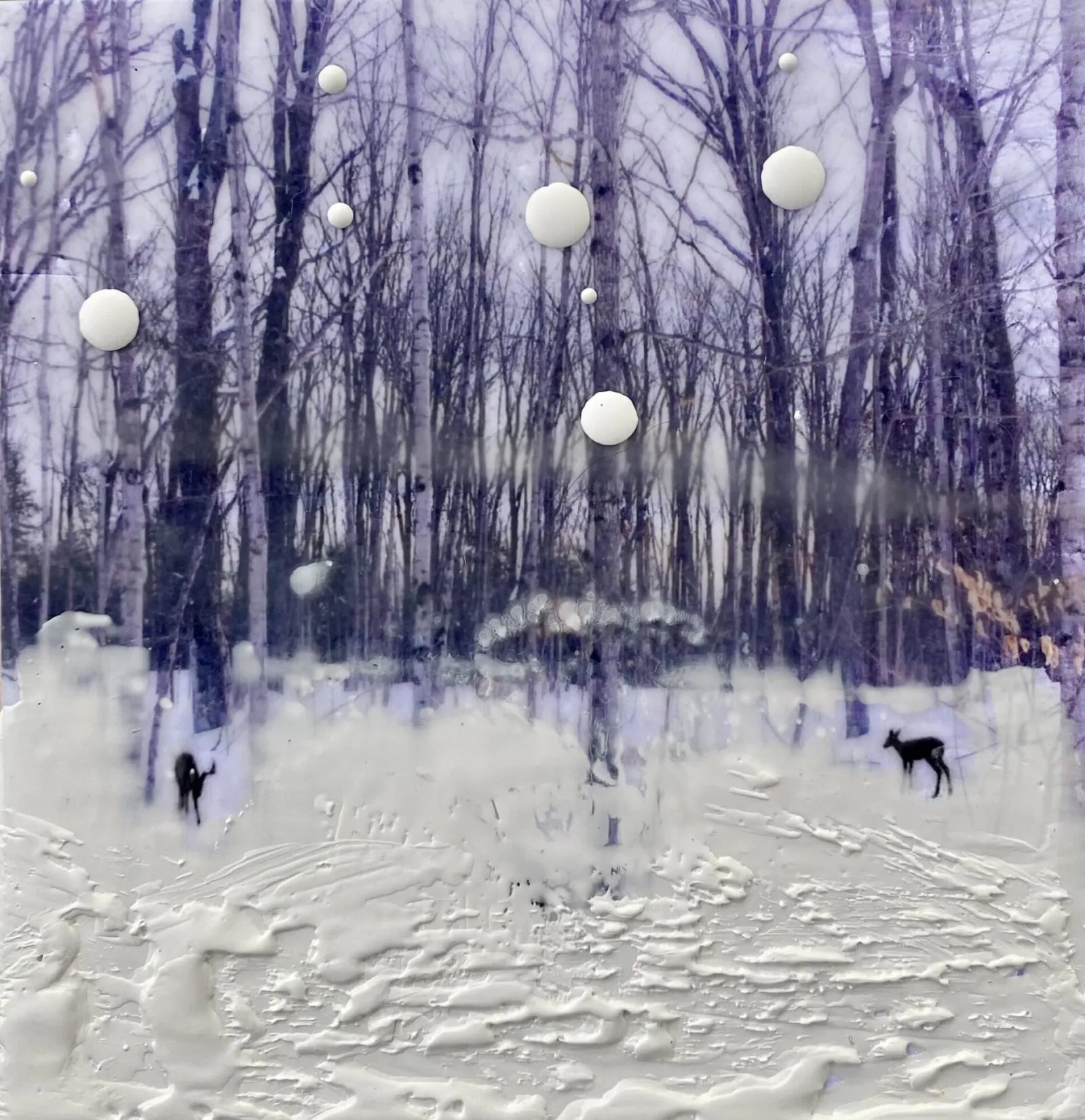 Ann Shier - Winter Forest 5