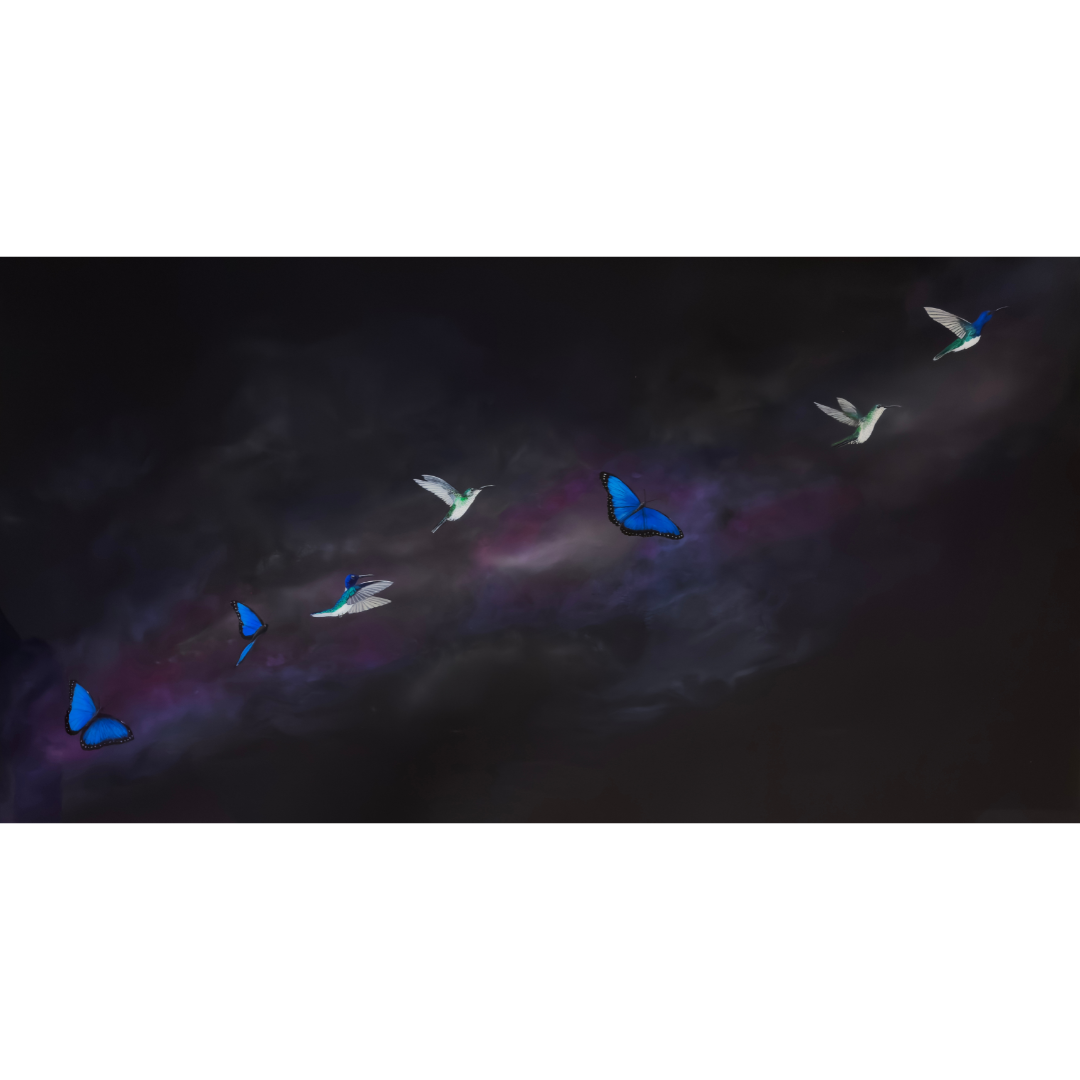 Arwynn Davey - Flight on Wings and Dreams