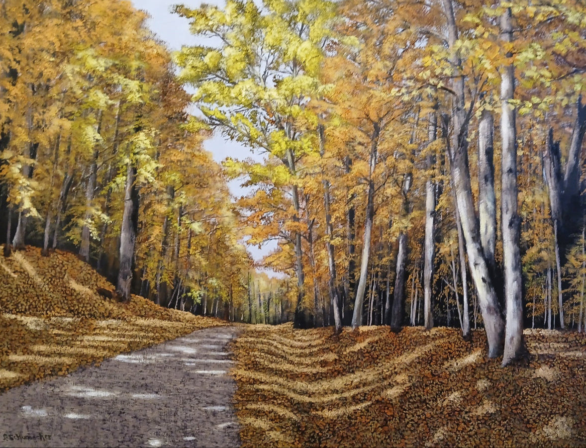 Lynne Schumacher - Autumn Road