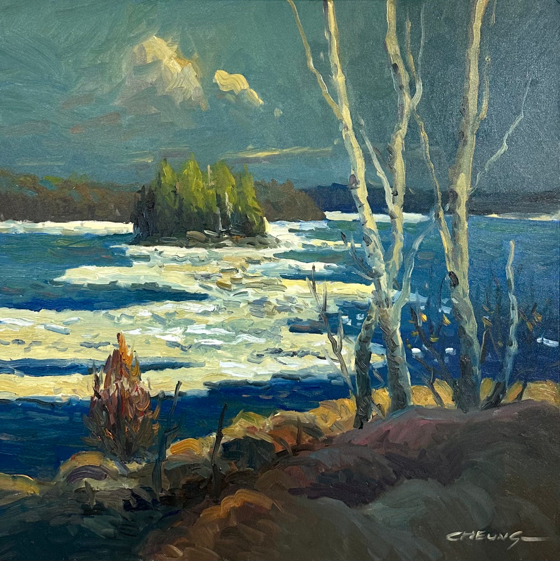 Peter Cheung - Birches By The Lake