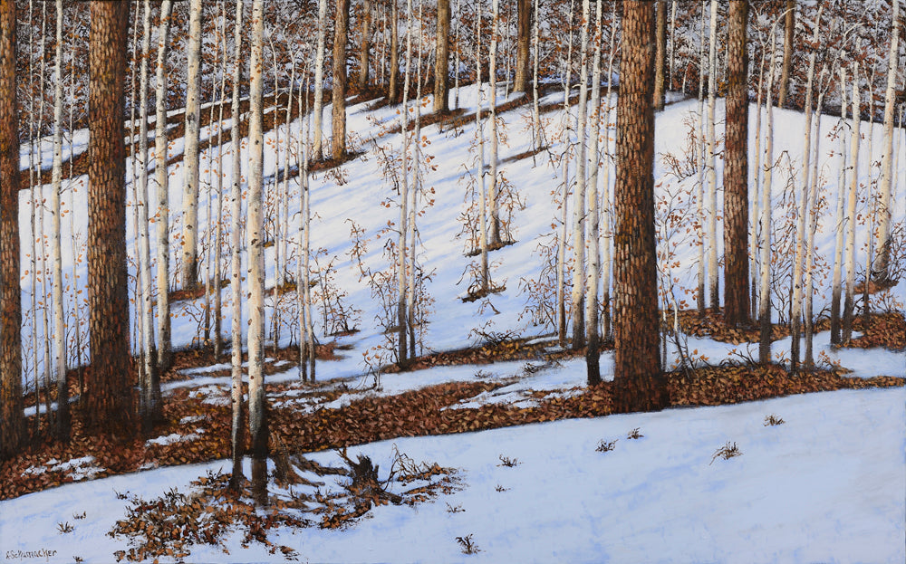 Lynne Schumacher - Hockley Valley Thaw