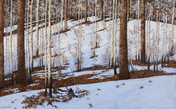 Lynne Schumacher - Hockley Valley Thaw