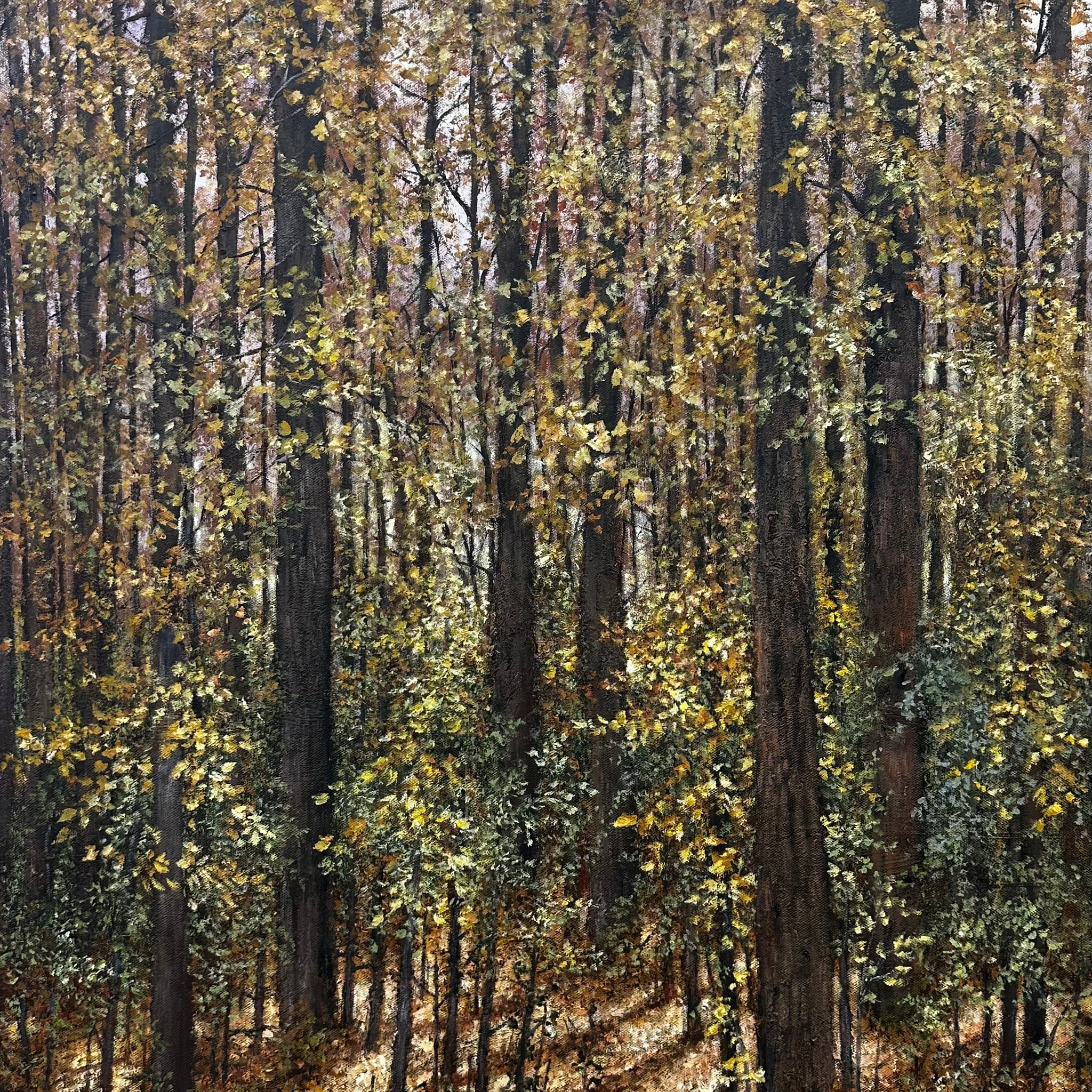 Lynne Schumacher - Path Off Hockley Road