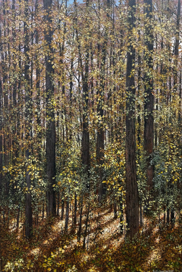 Lynne Schumacher - Path Off Hockley Road