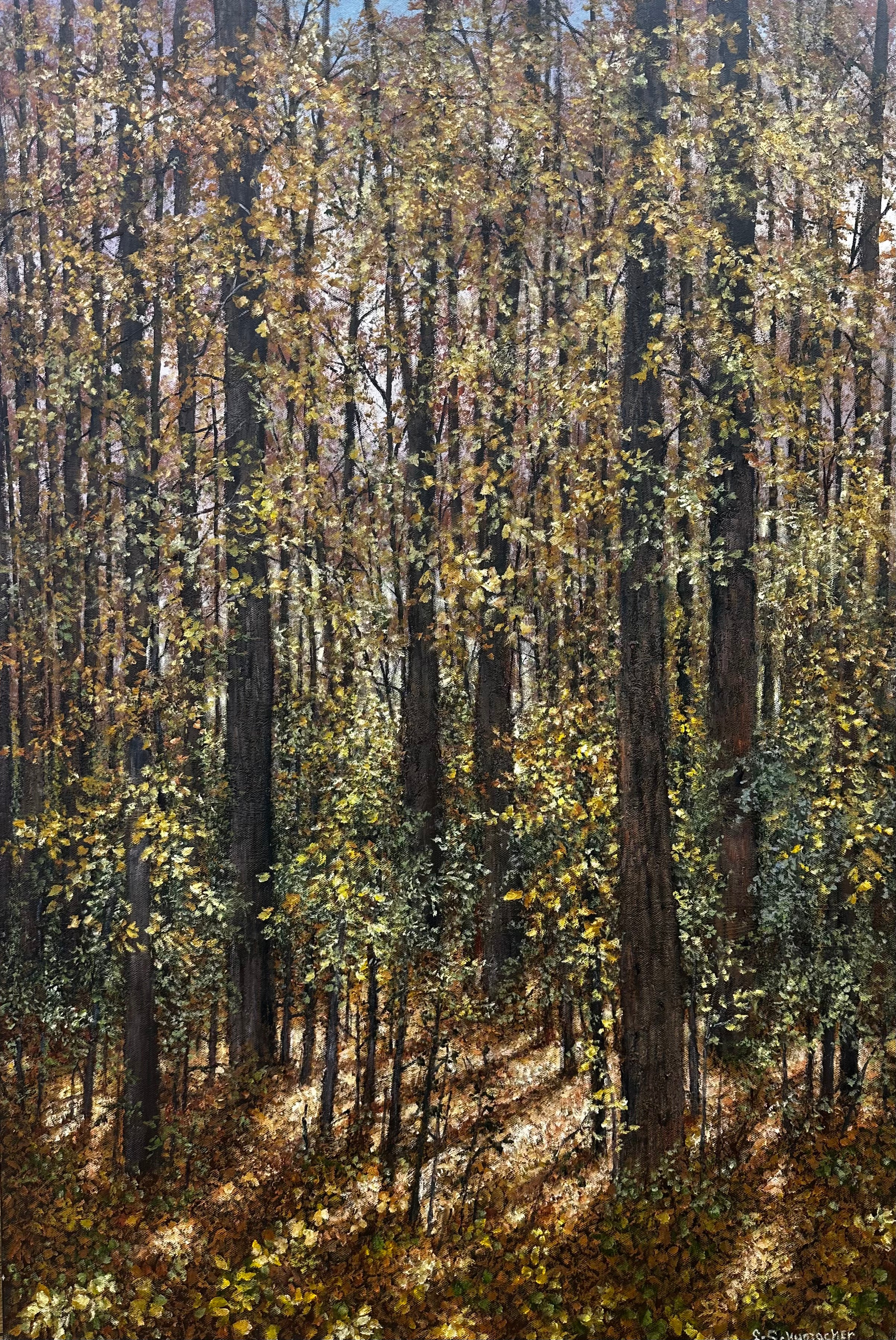 Lynne Schumacher - Path Off Hockley Road