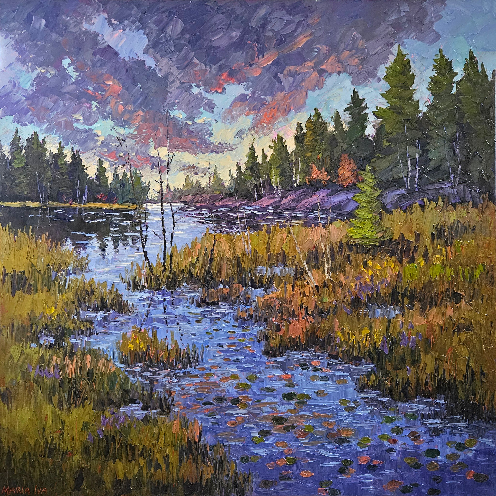 Maria Iva - Algonquin Marsh