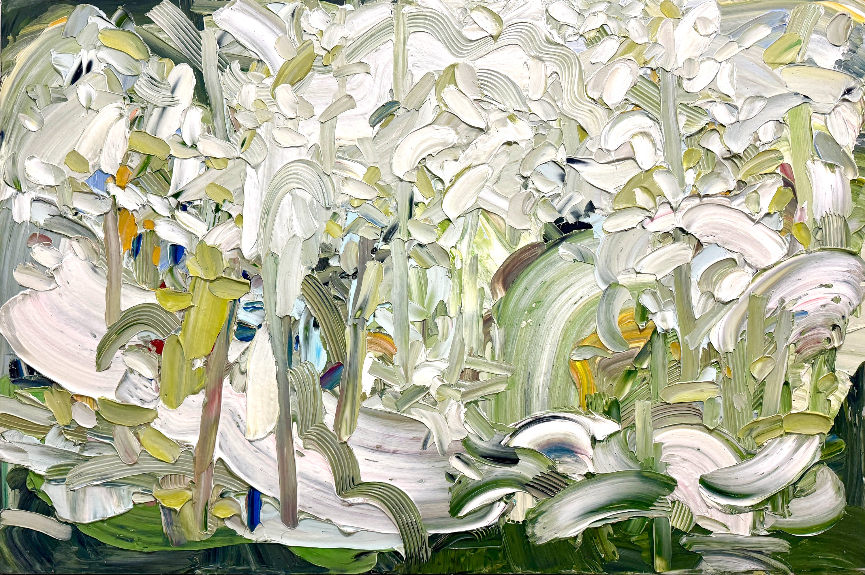 Shane Norrie - Winter Forest