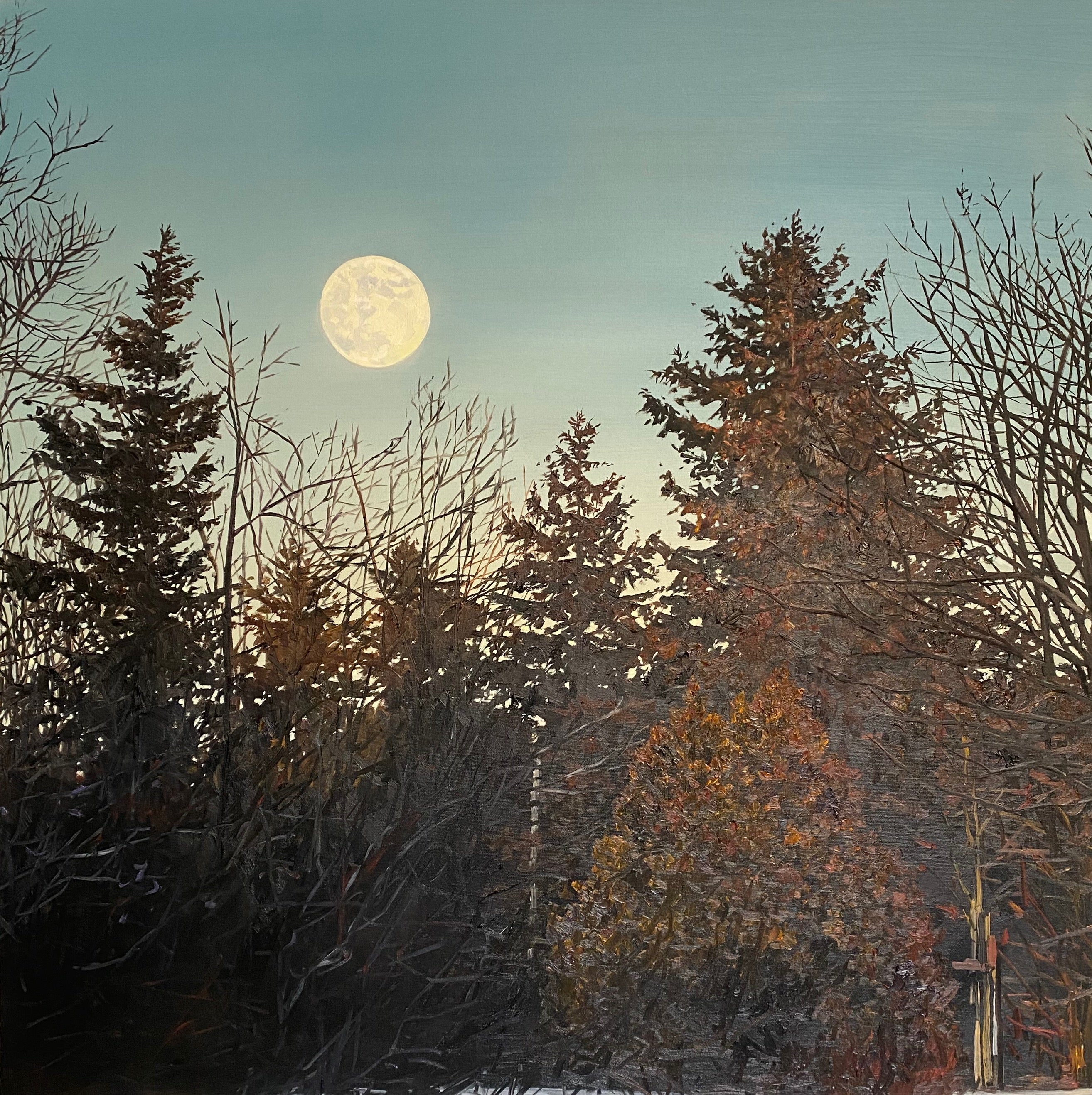 Sarah Clarke - In All Her Glory